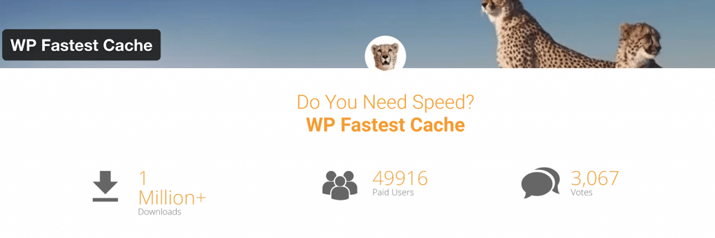 WP Fastest Cache