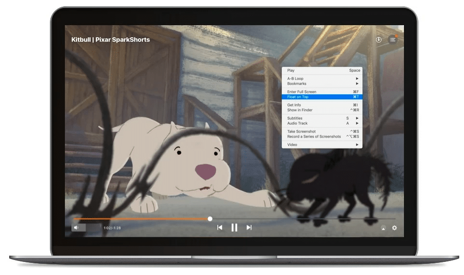 Customizable Playback Options