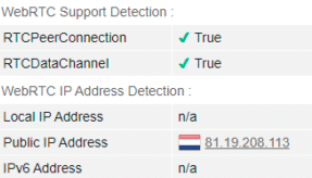 WebRTC leak test: