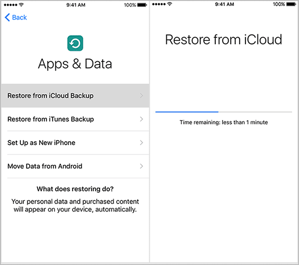 How to Reset iPhone to Factory Settings from iCloud