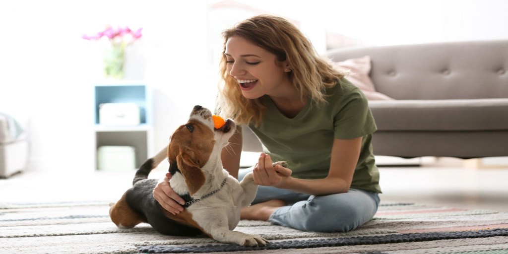 How to Find the Best Pet Insurance for Your Furry Friend