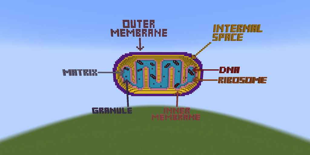 How to Get Mitochondria in Infinity Craft